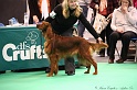 Crufts2011 338